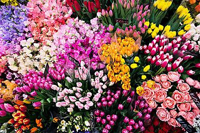 《白昼梦 · 心象病院》Steam页面上线 8月发售