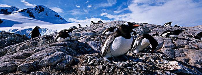 烧钱营销！ 《无主之地4》登上拉斯维加斯巨型球