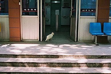 《最后的生还者》第一人称视角MOD效果演示视频